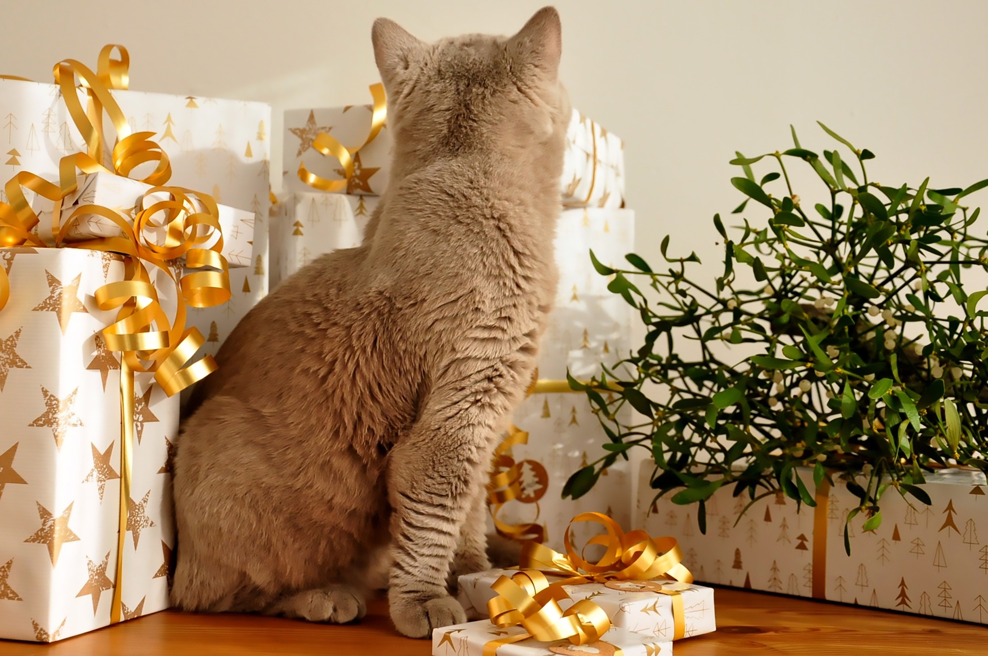 presents