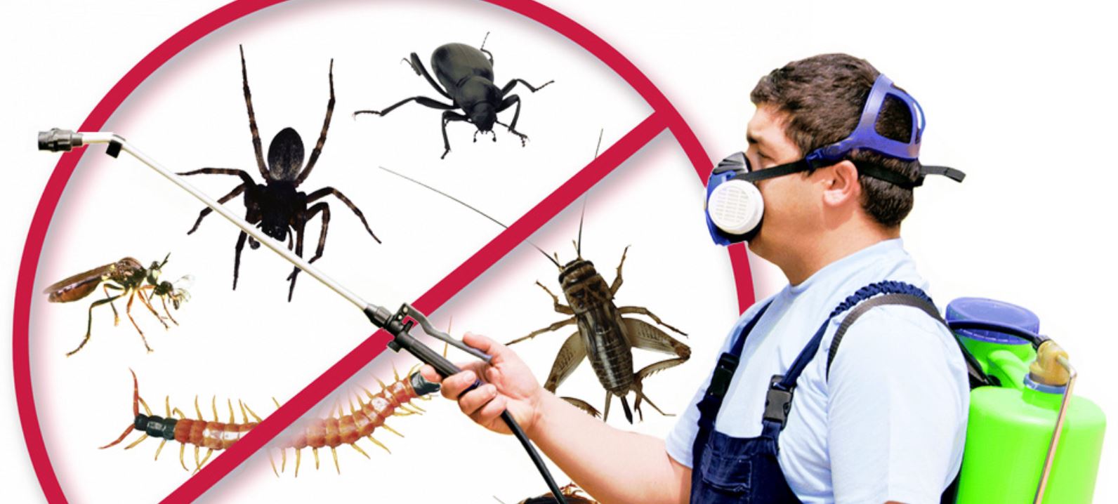 pest control
